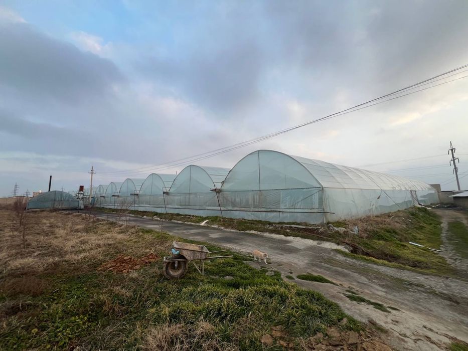 Самарканд хим завод ёнида йер сотилади