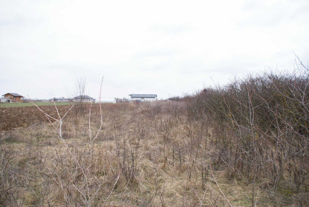 De vanzare- Teren intravilan 1000mpAdunatii Copaceni