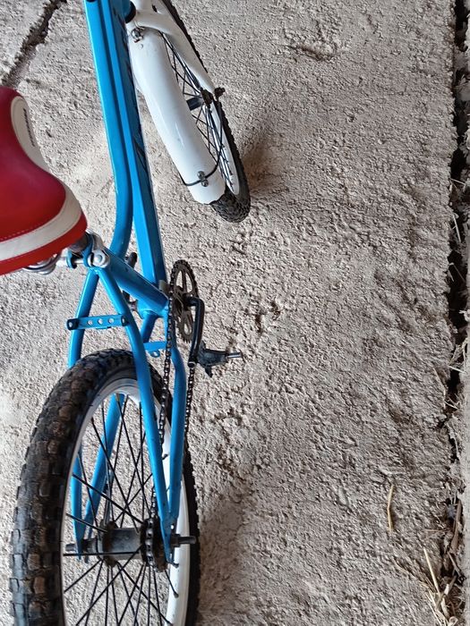 Velik sotiladi  narxi  300 000 kelishamiz