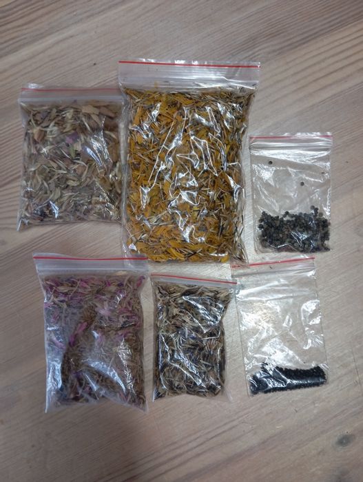 Семена цветы многолетки