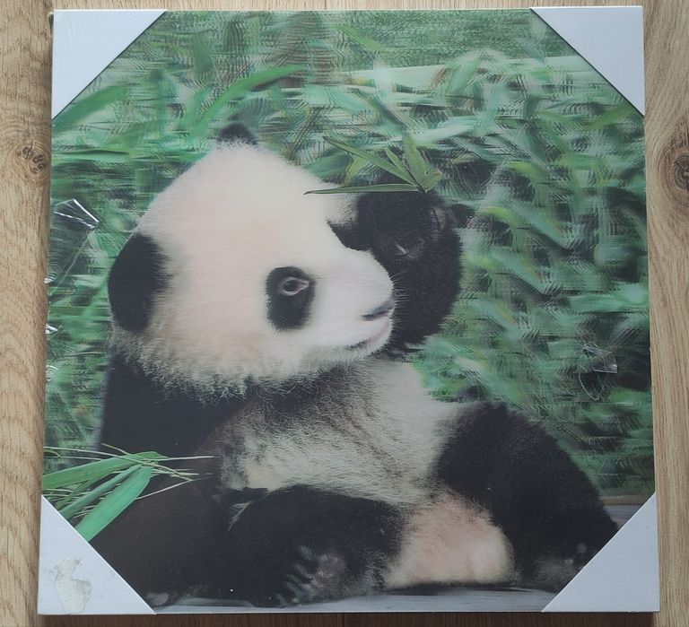 Tablou 3D camera copii - doua modele 30x30 cm