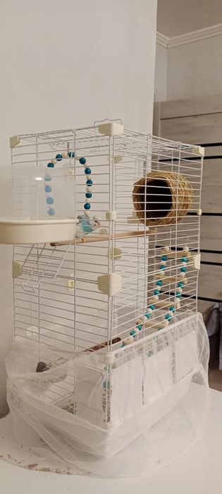 Клетка с попугаем