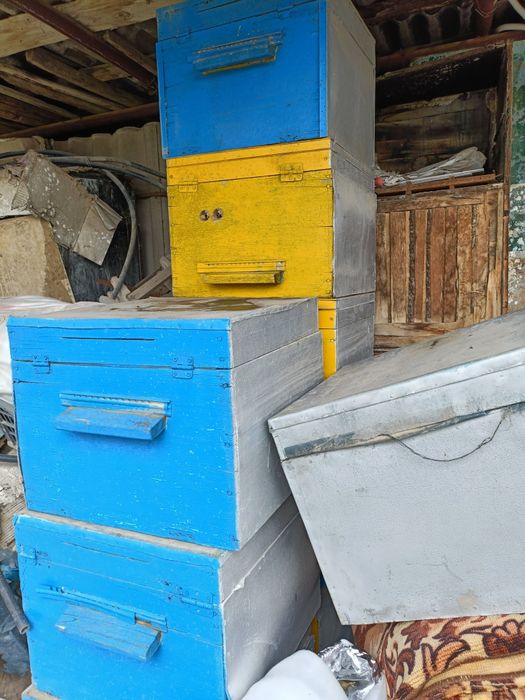 Улья   для  пчел