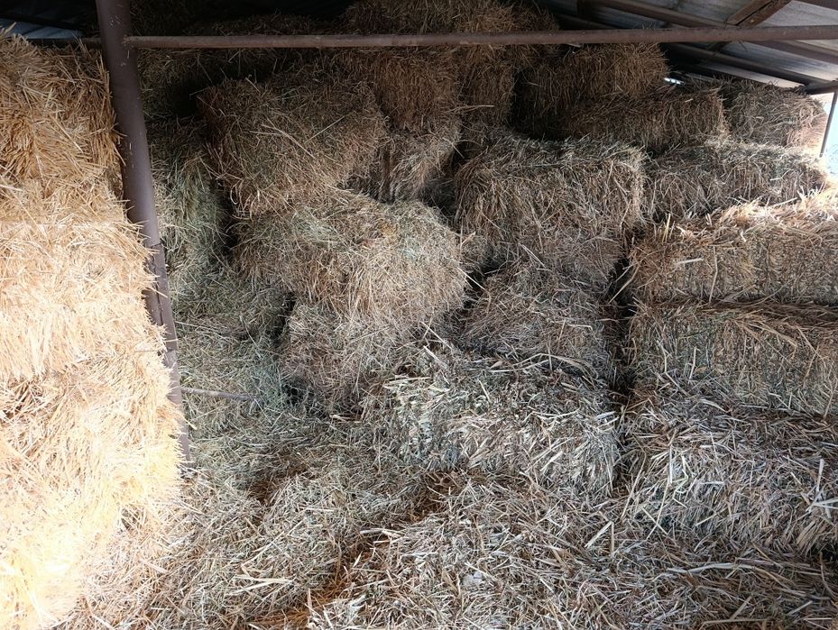 Прес шөп бар малға әдемі шөп