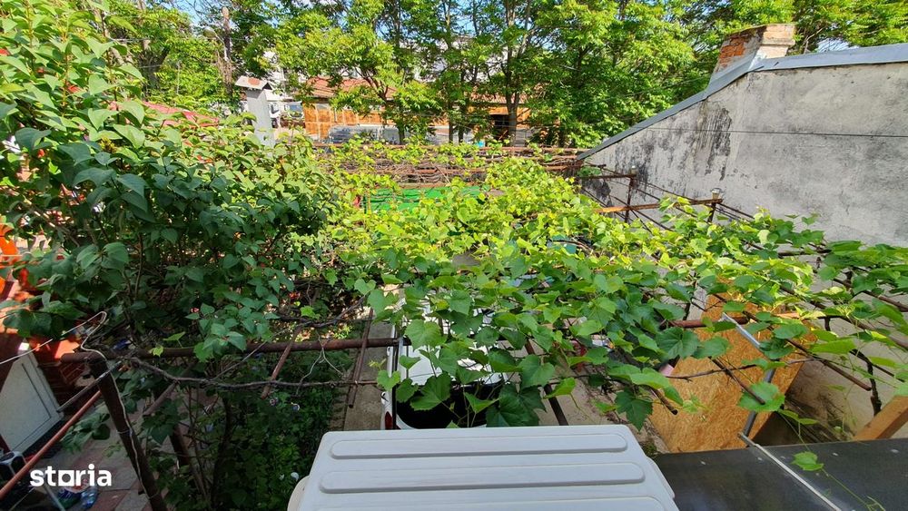 Drumul Taberei, Raul Doamnei