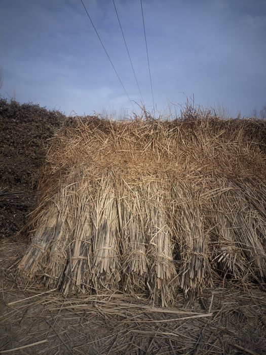 Yekan sotiladi 6 000 soʻm