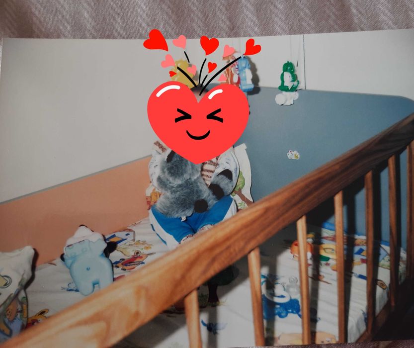 Детска(бебешка) кошара