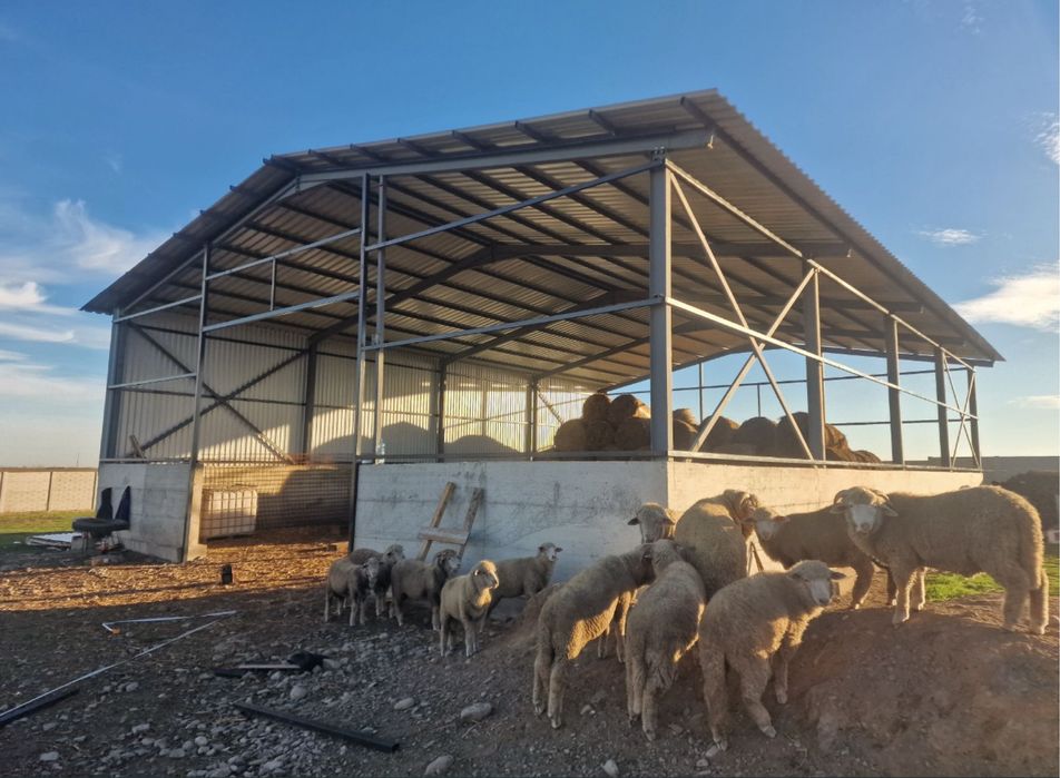 Saivan învelit cu tabla