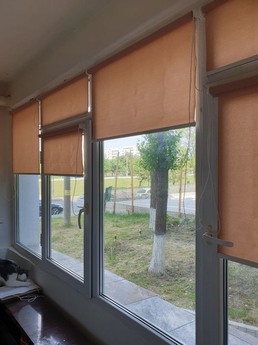 Termopane - rolete - rulouri - plase insecte