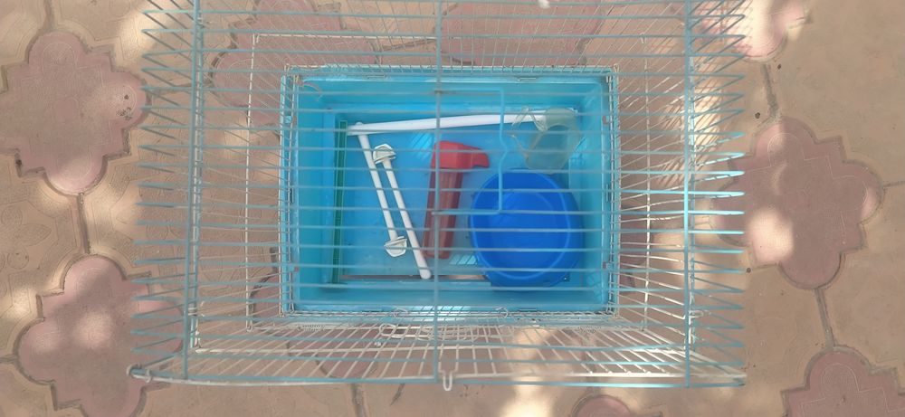 Qush qafasi sotiladi