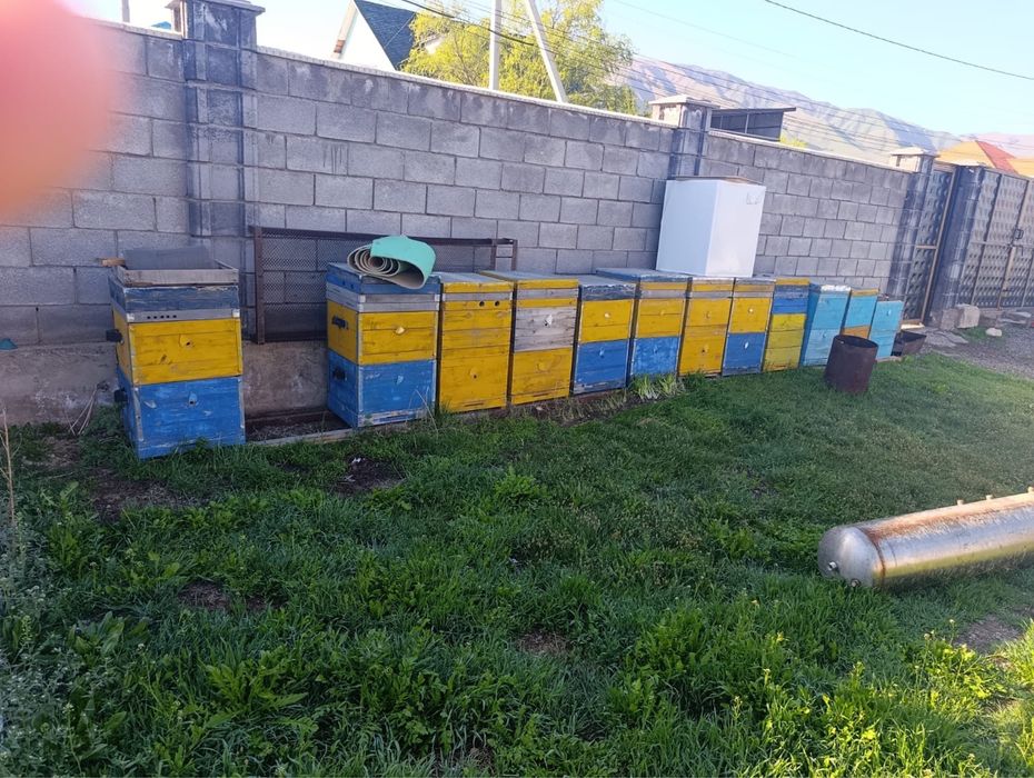 Продаются ульи