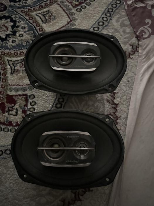 Pioneer chempion kalonka