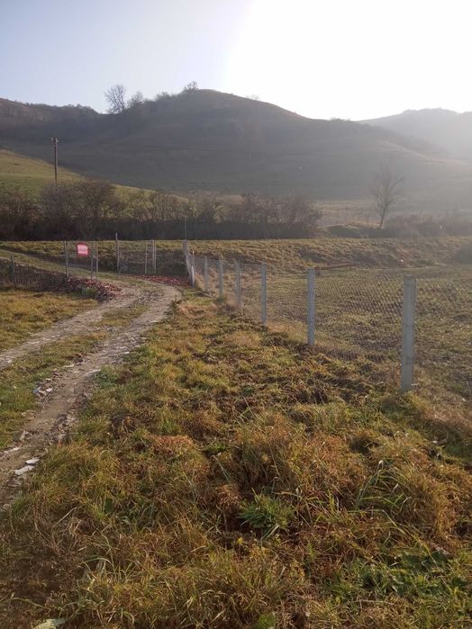 Teren de vînzare in Nicula