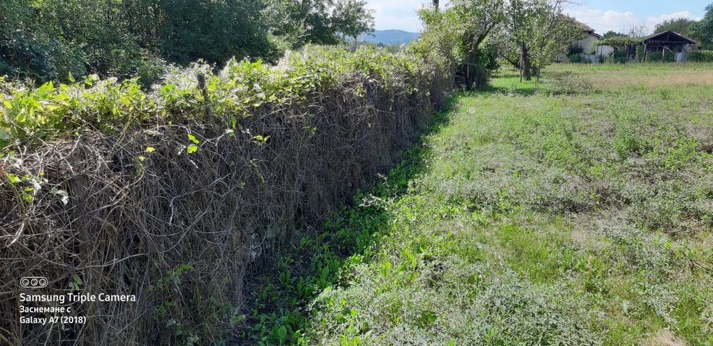 УПИ Град Килифарево