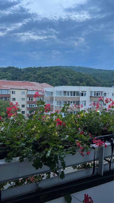 Apartament de inchiriat Rm Valcea