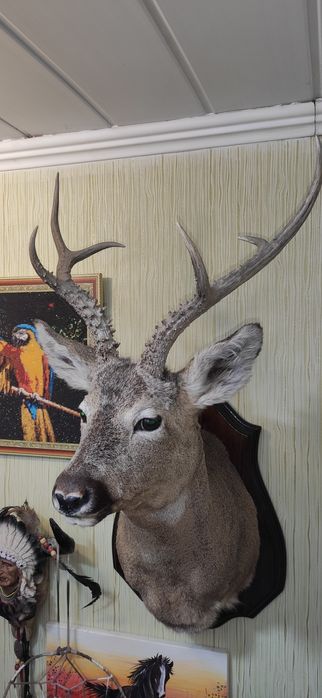 Охотничий сувенир