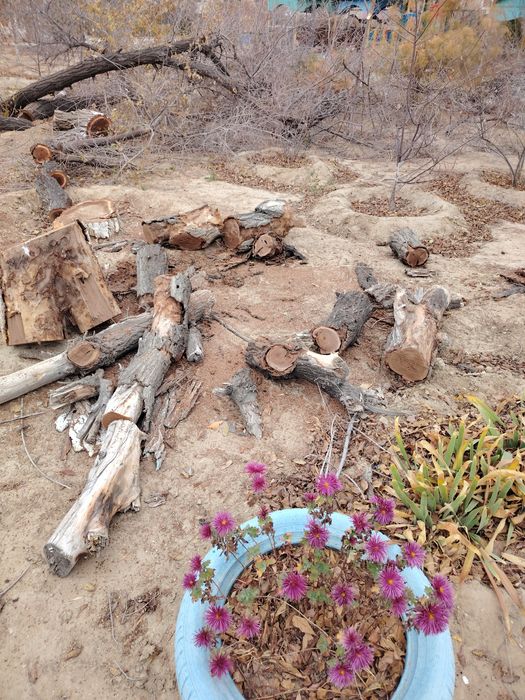 Обрезка деревьев сухостоя. 20000т