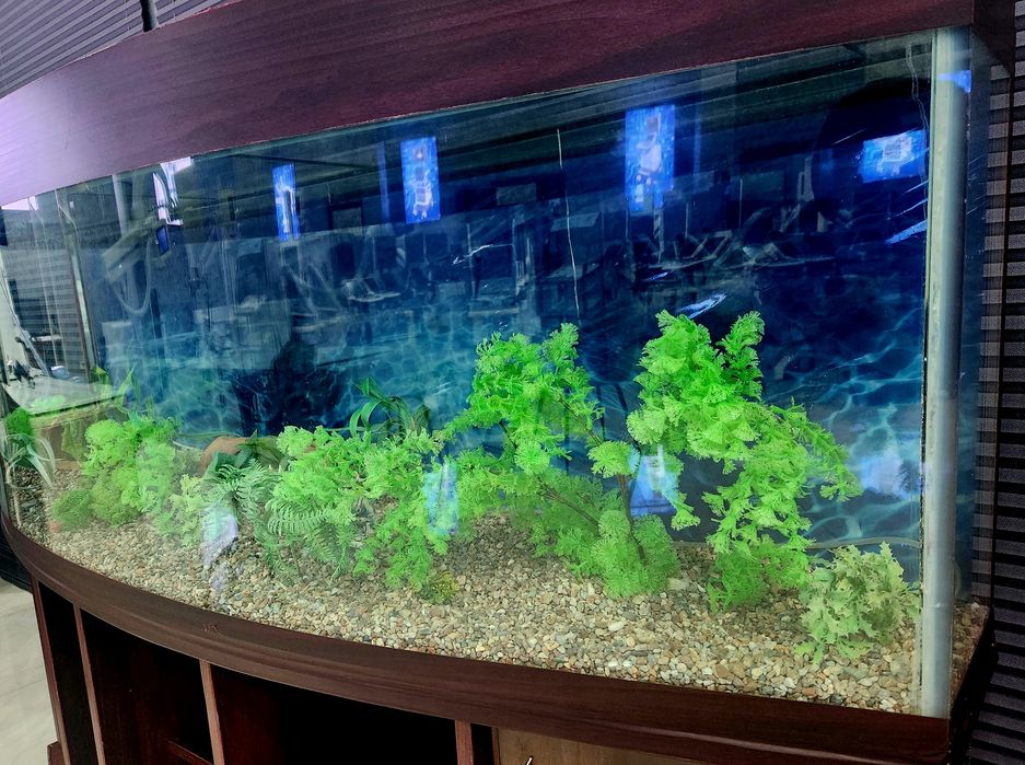 AKVARIUM  1.80 sm 1.30 sm  xolati zur ..
