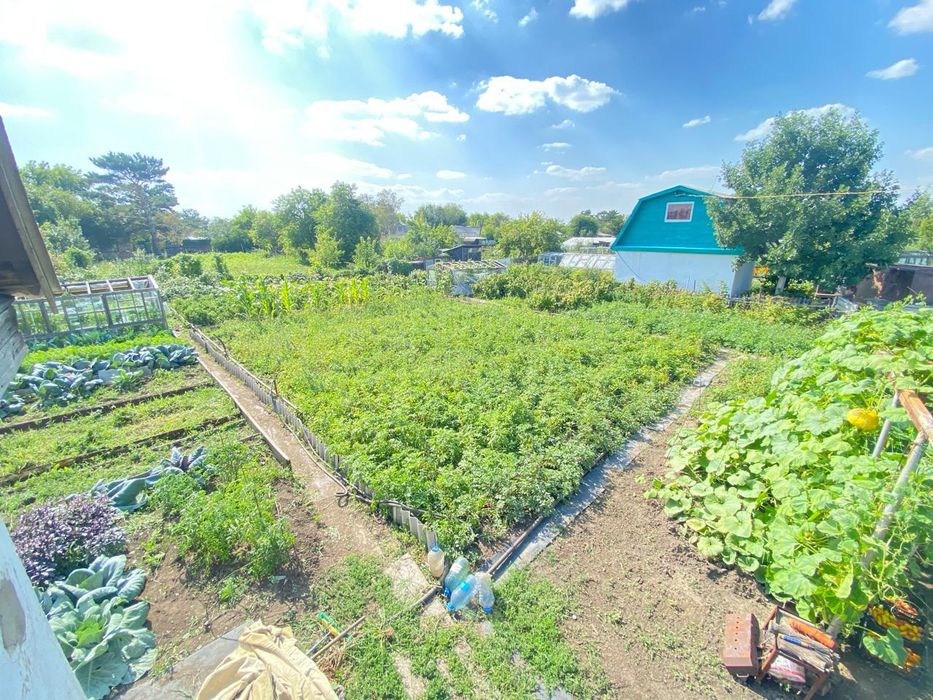 Дача на федоровке