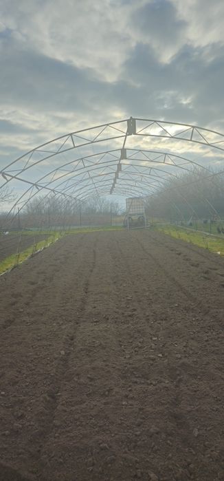 Асеновградска оранжерия