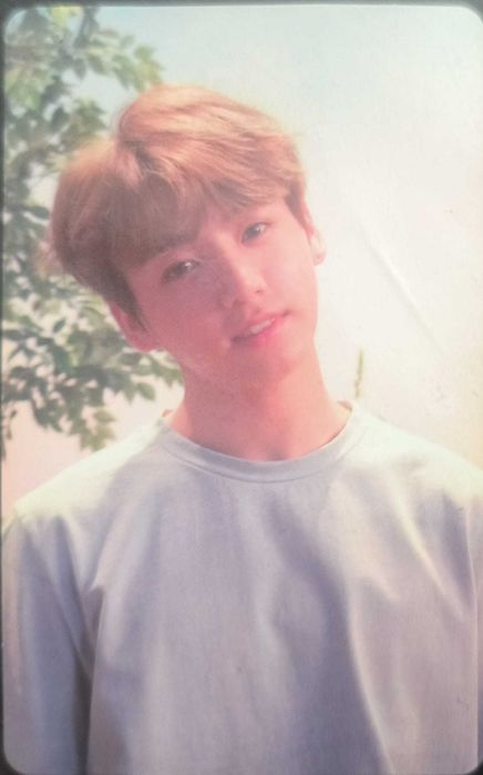 BTS Tear R version Album
