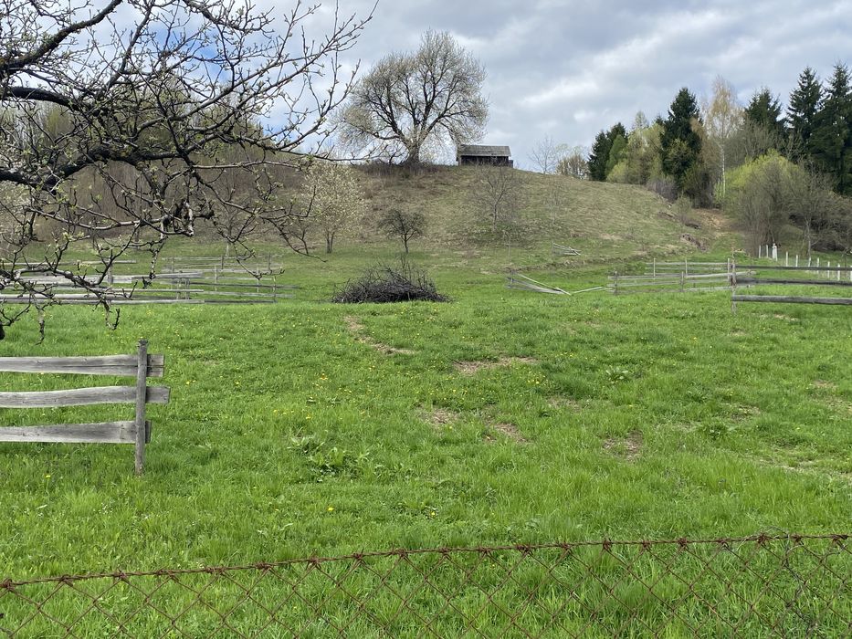 Teren intravilan Mureșenii Bârgăului