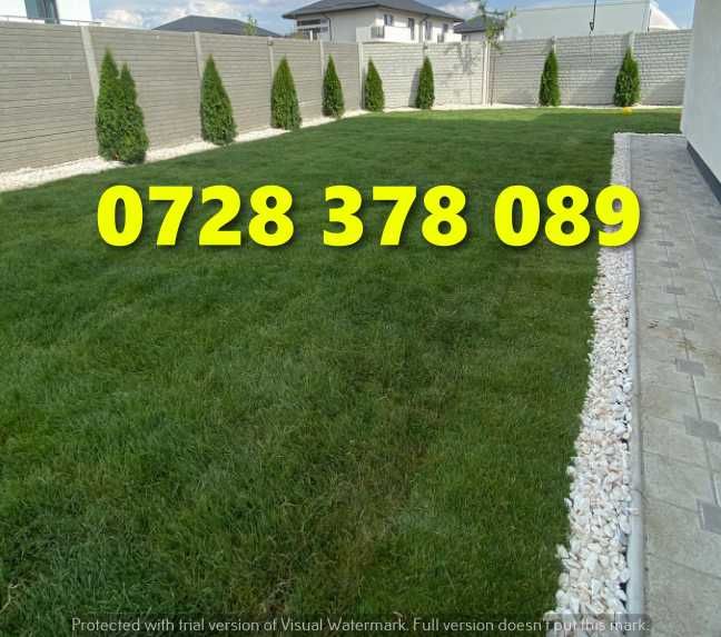 Gazon rulou - Gradina Verde vesnica Garantat ! Firma autorizata