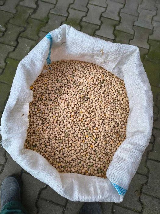 mazare furajera de vanzare