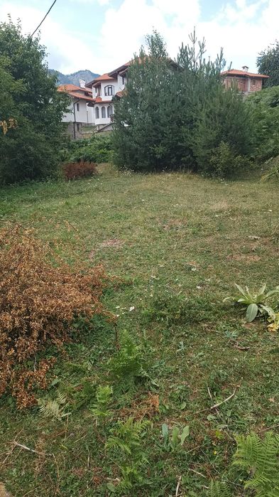 Продава се Парцел в к.к. Пампорово - 5500 кв.м за 29 €/кв.м - Снимка #9