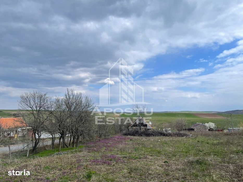 Teren intravilan pentru investitie, 2896 mp, Herneacova Timis