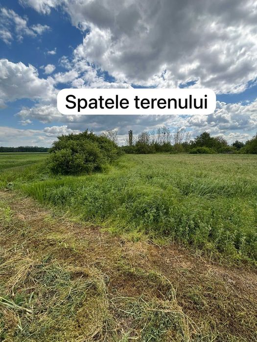 Teren intravilan 3743 mp Frunzaru – asfalt, apă și curent la poartă
