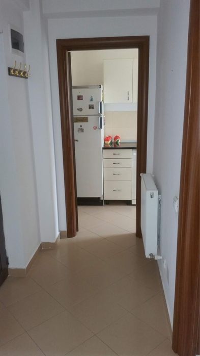 Garsoniera Damaroaia cu Jiului