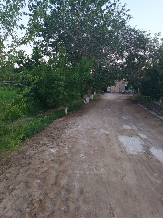 Урганч тумани шоват канал буйида жой сотилади 533кв .