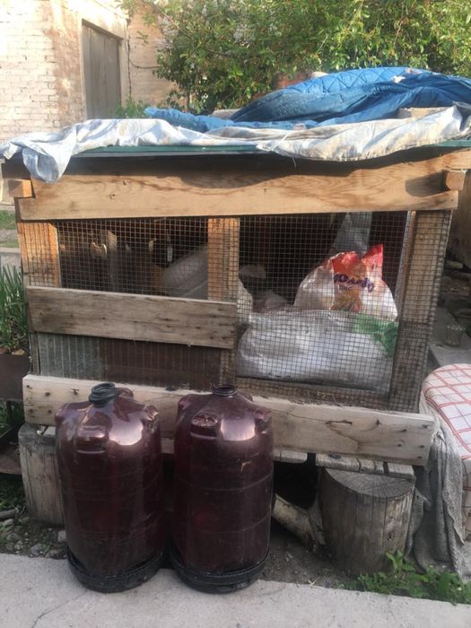 Клетки для кроликов