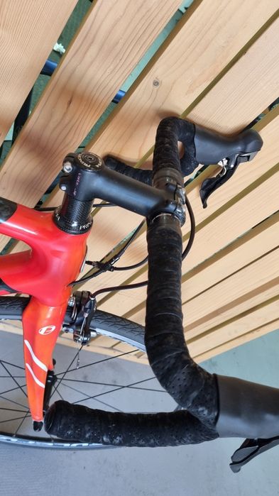 Cursiera carbon Principia