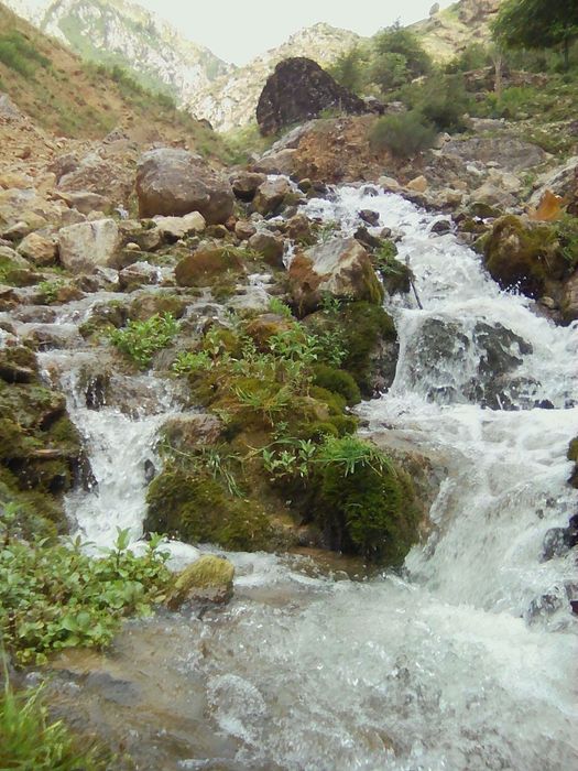 Дача в живописном Богустане недалеко водопад
