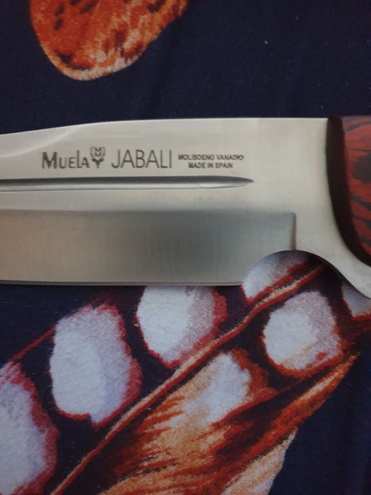 Vintange cutit Muela jabali tejon