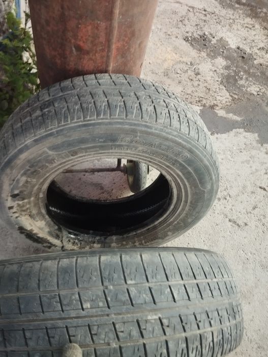 Продам шина комплект чотки 14