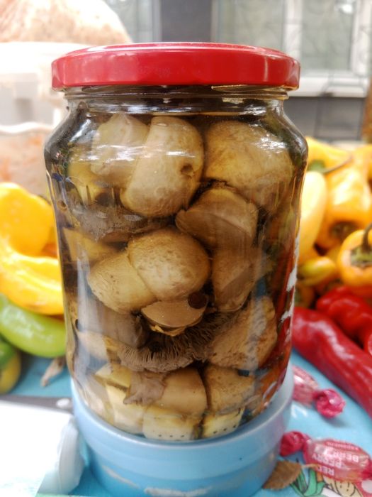 Продам маринованные грибы