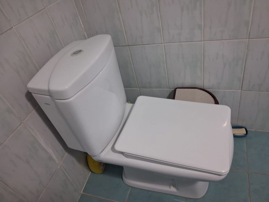 Туалет, домашнии туалет
