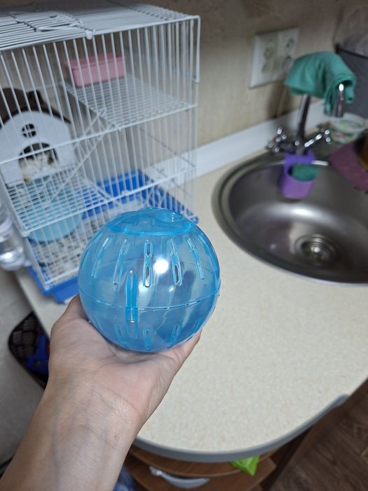 Продам хомячка Джунгарик