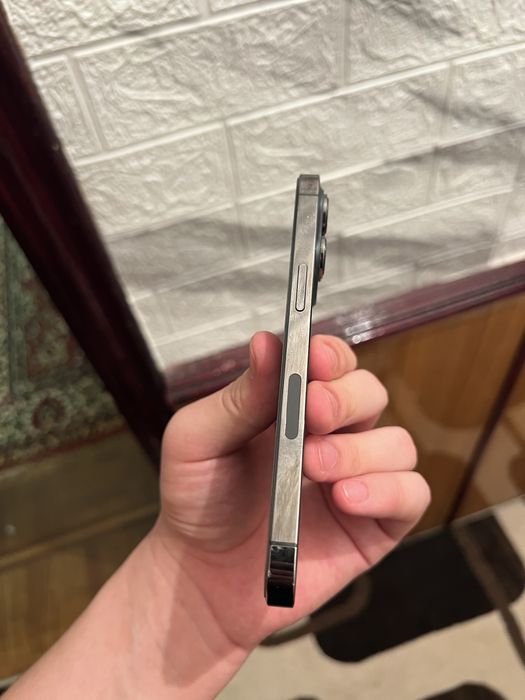 iPhone  13   pro