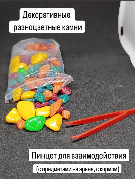 Формикарий для муравьиной фермы