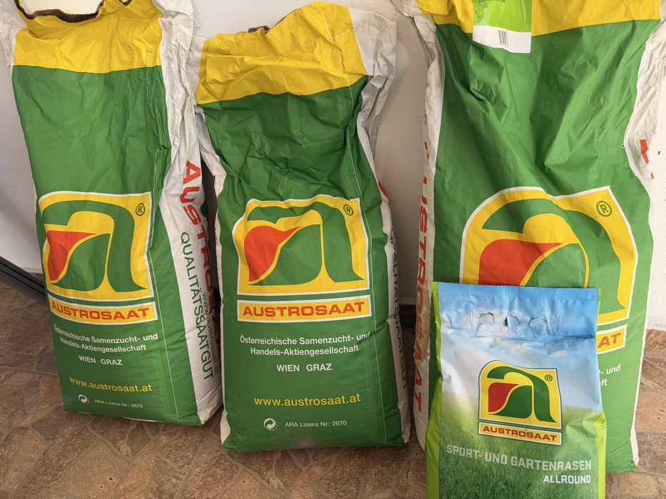 Vînd semințe  de gazon sport