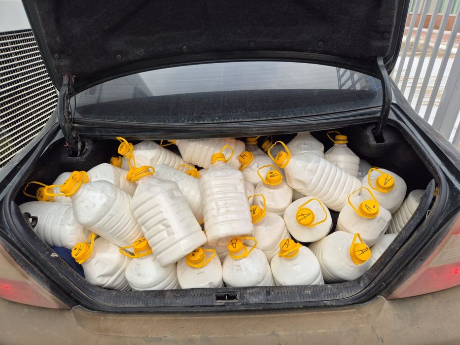 Таза қырдың шұбаты