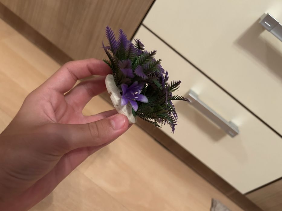 Vand bol pentru pesti impreuna cu 2 plante decorative si  o ascunzatoare tun