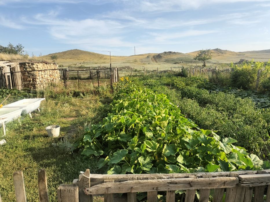 Продам дом           .   .