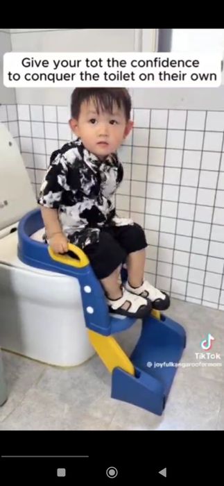 Детское сиденье для унитаза.