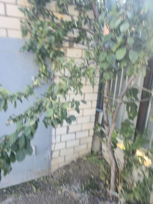 Продам дом магазином