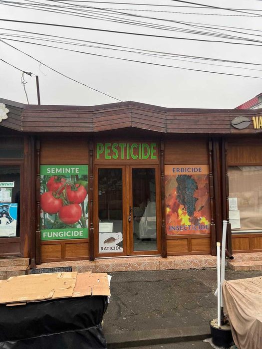 Spatiu comercial, Vad bun - Piata Centrala